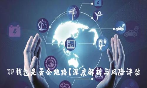 TP钱包是否会跑路?深度解析与风险评估